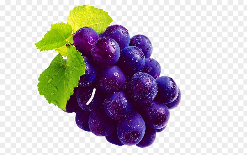Purple Grape Material Kyoho Shine Muscat Huxian Speciality U6237u592au516bu53f7u8461u8404 PNG