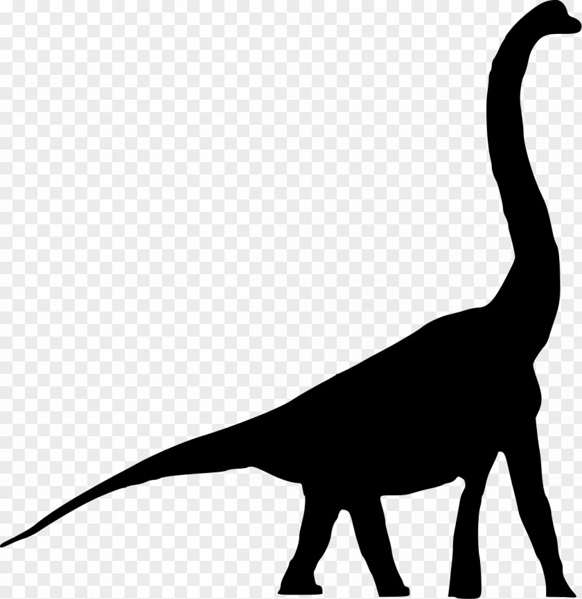 Animals Dinosaur Daanosaurus Tyrannosaurus Brachiosaurus Sauropoda Bellusaurus PNG