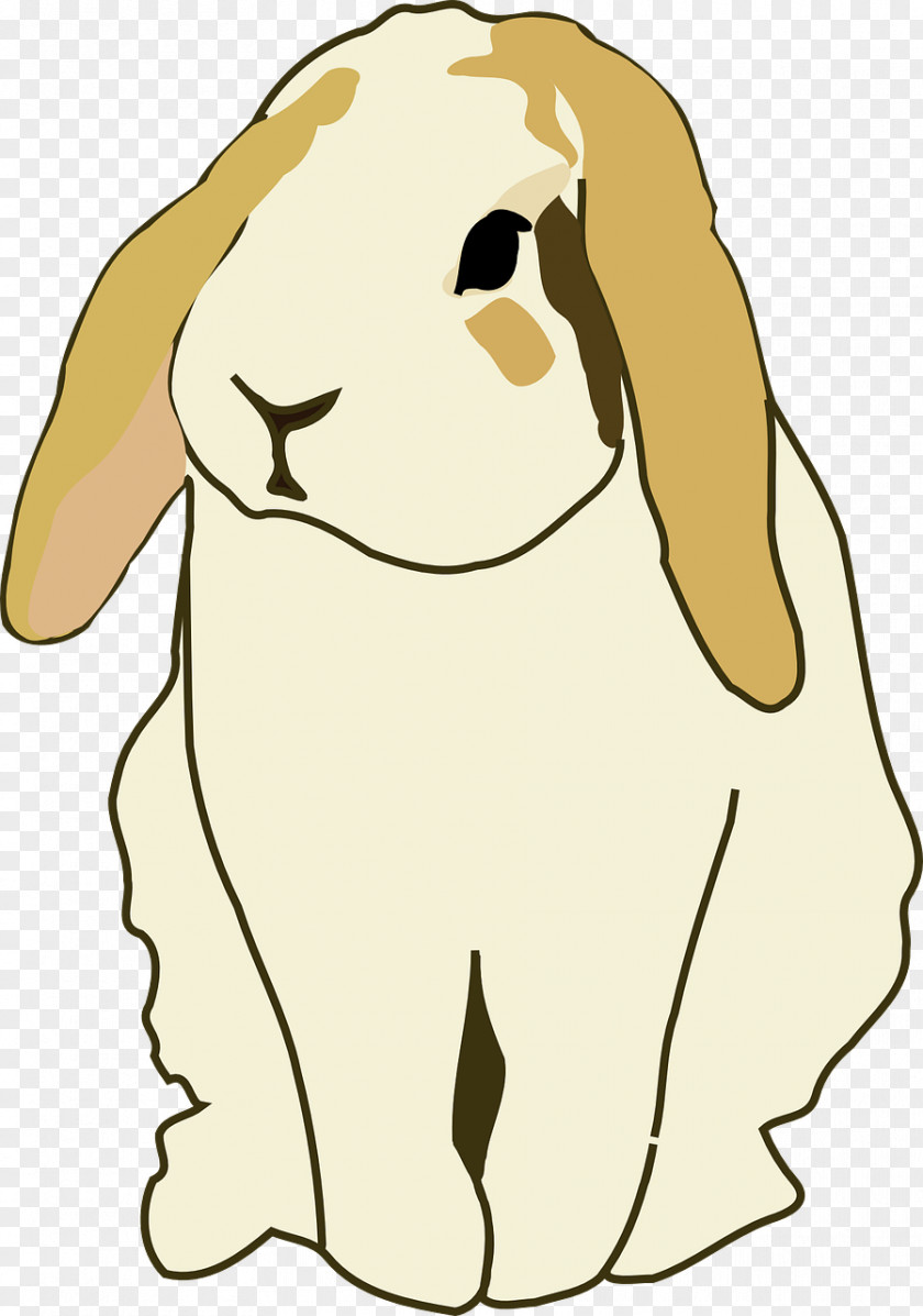 Cute Dog Holland Lop Easter Bunny Mini Thu1ecf Tai Cu1ee5p Hare PNG