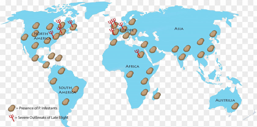 Farmland World Map Globe PNG
