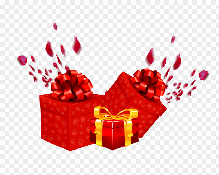 Gift Red Computer File PNG