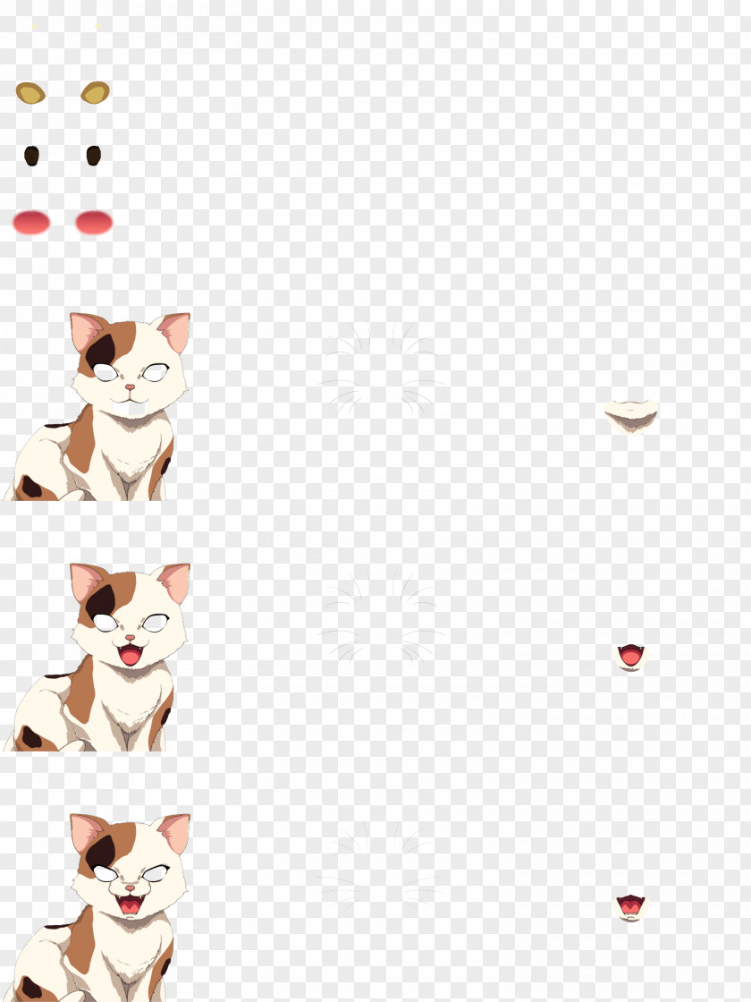 Kitten Whiskers Cat Paper PNG