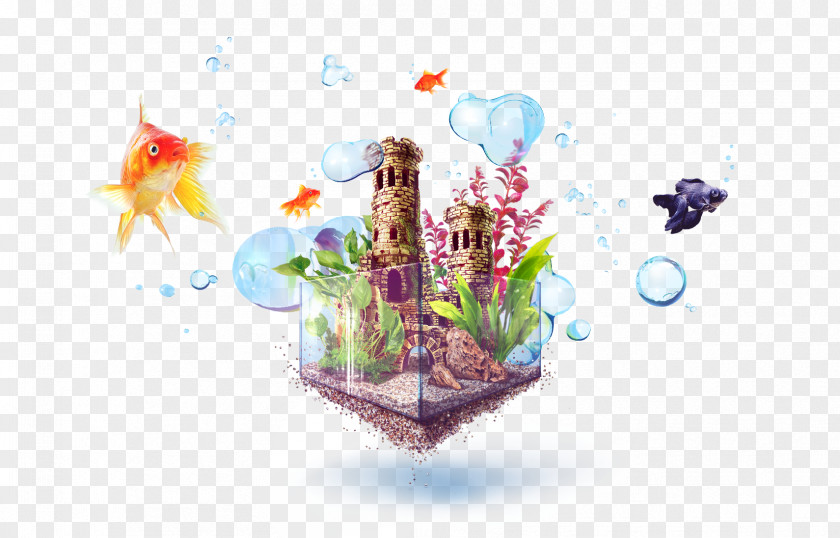 Aquarium Pet Shop Fishkeeping Aquascaping Aquarienpflanze PNG