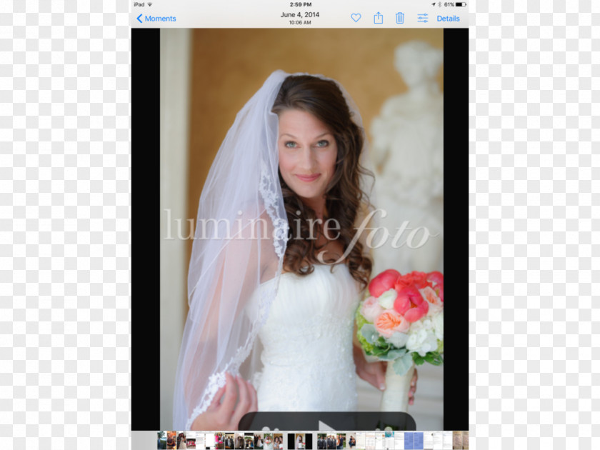 Bride Wedding Dress Veil PNG