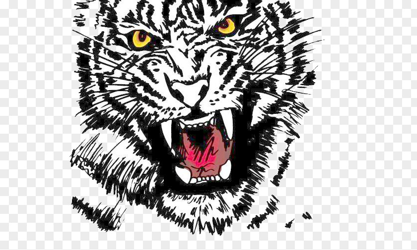 Ferocious Tiger Logo Drawing Clip Art PNG