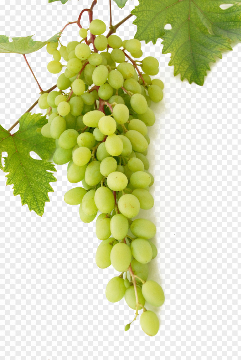 Green Grapes Wine Common Grape Vine Mousse Cream PNG