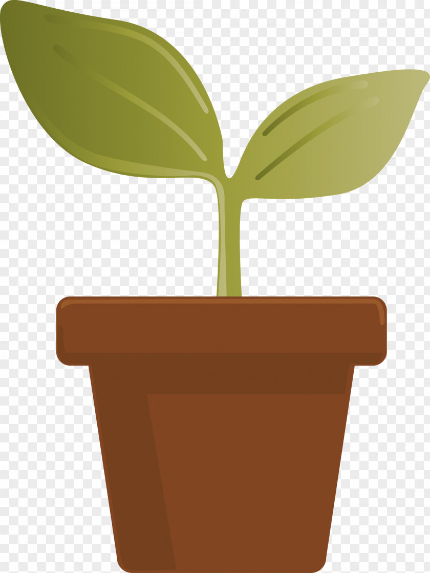 Sprout Bud Seed PNG