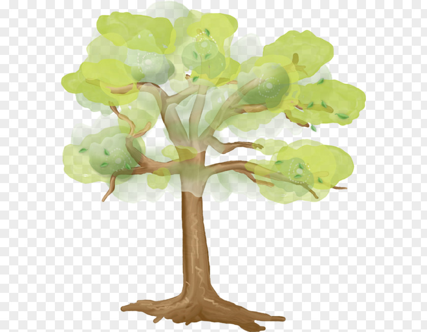 Tree Treelet Photography Clip Art PNG
