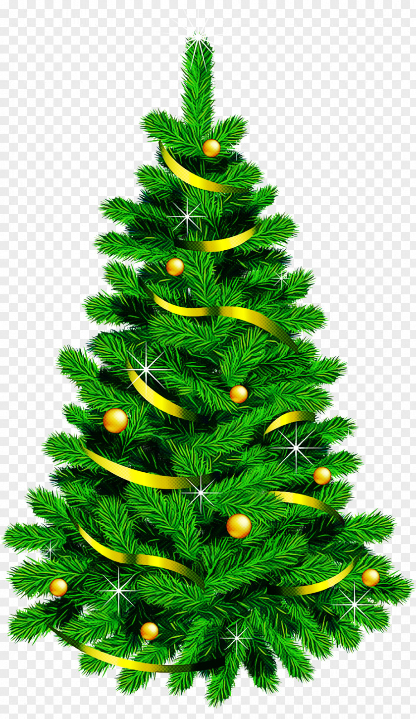 Christmas Tree PNG