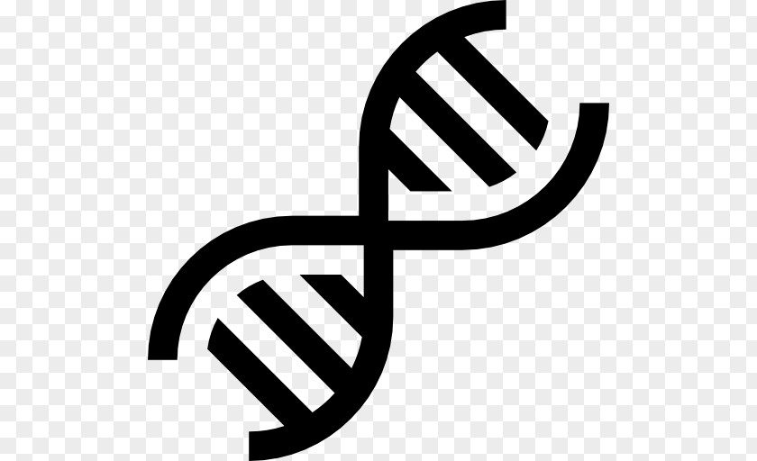 Dna Structure Human DNA Medicine Science Nucleic Acid Double Helix PNG