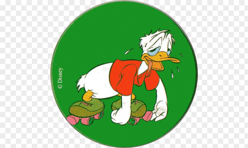 Duck Donald Rooster Cartoon Chicken PNG