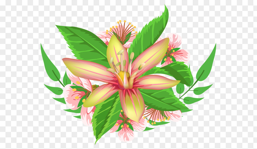 Flower Element Animaatio Floral Design PNG