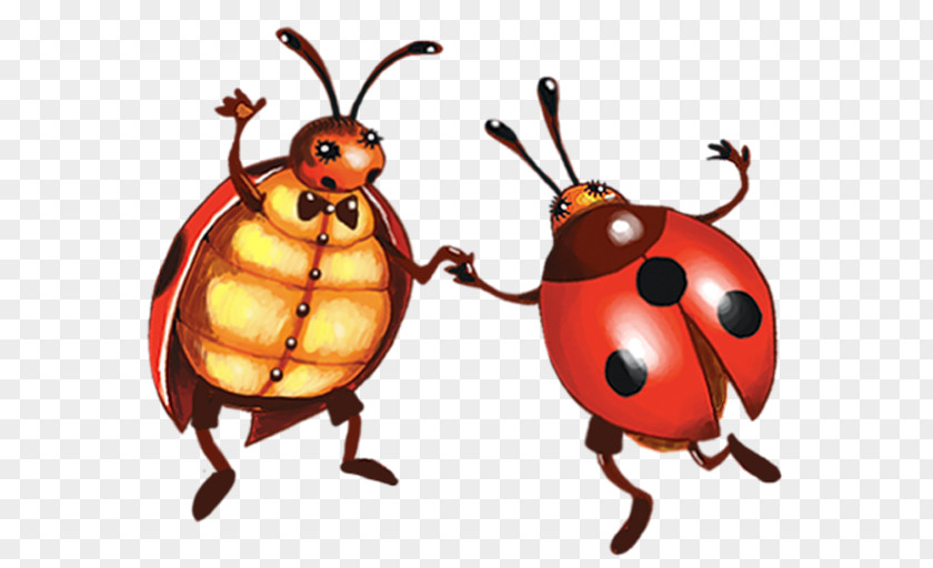 Ladybug Ladybird Clip Art PNG