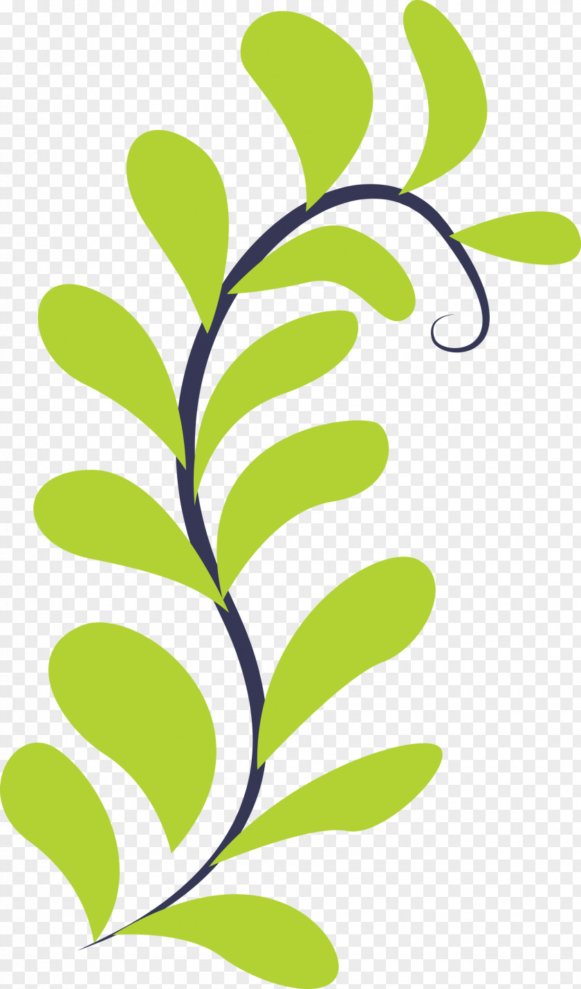 Plant Stem Leaf Green Flower Text PNG