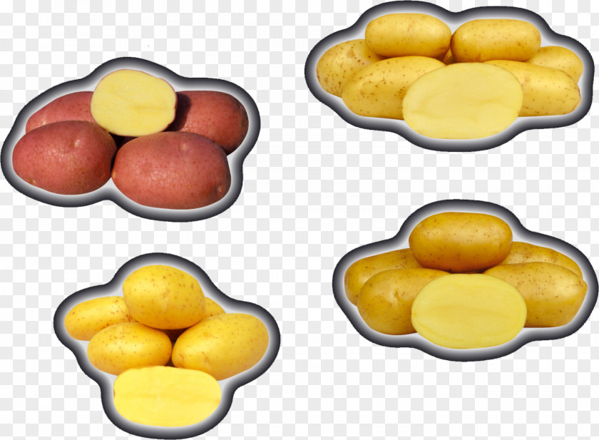 Potatoes Plant Images Stavebniny Svirik S.r.o Finger Food Commodity Cuisine PNG