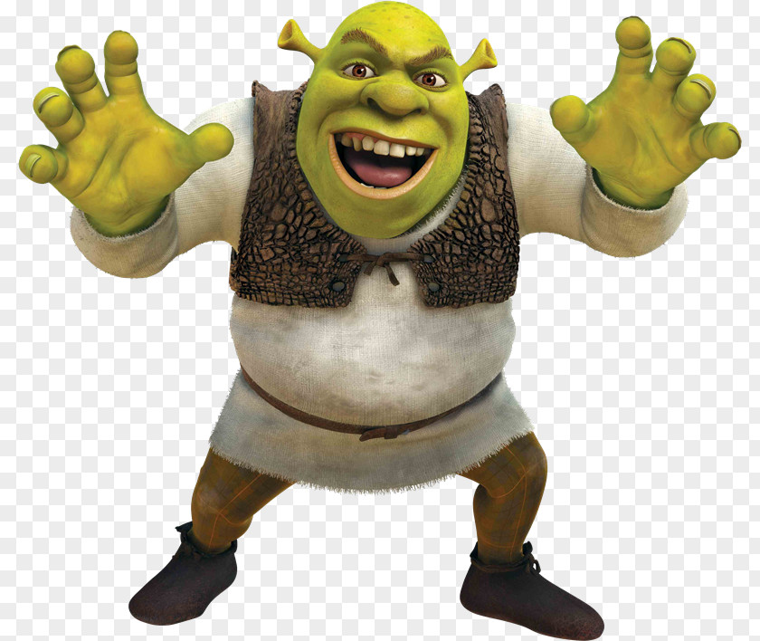 Shrek Forever After Princess Fiona Film Series PNG