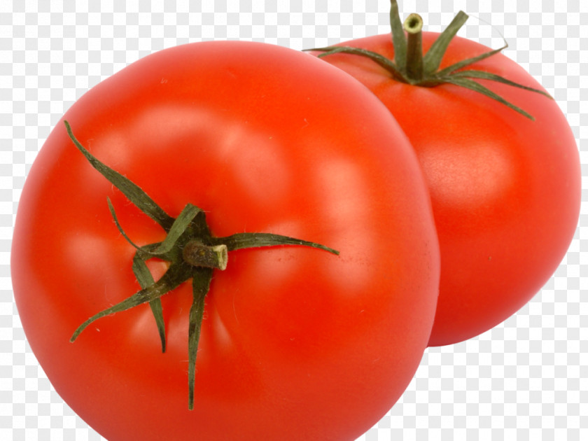 Vegetable Plum Tomato Bush Vegetarian Cuisine Clip Art PNG
