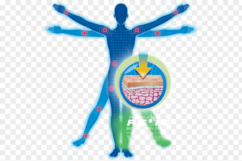 Arthritis Vitruvian Man Homo Sapiens Human Body PNG