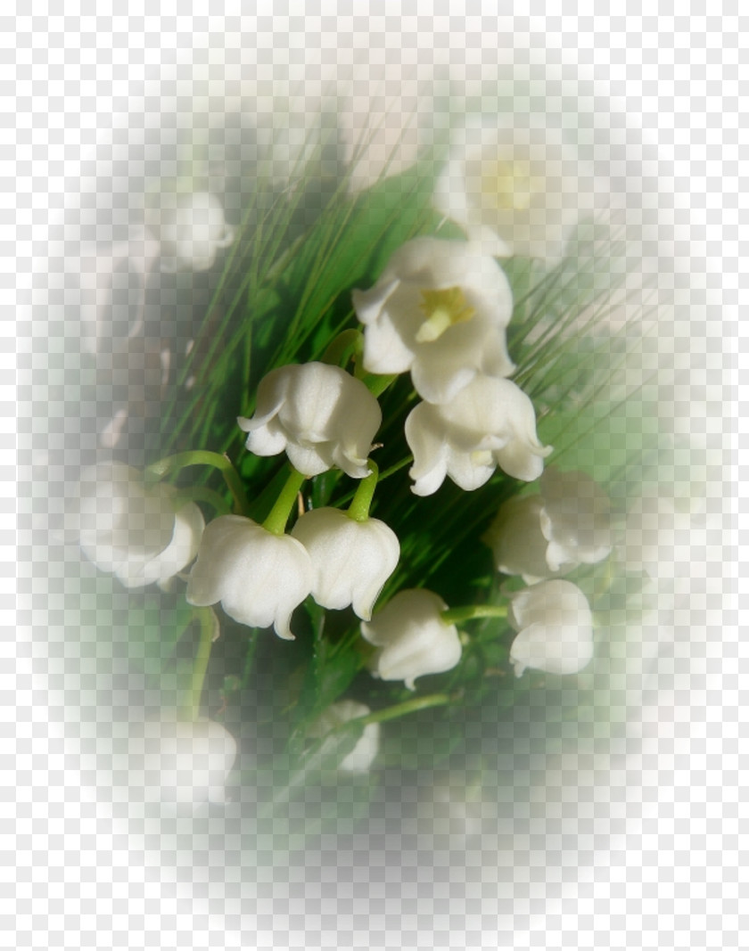 Floral Design .de Lily Of The Valley .es Afternoon PNG