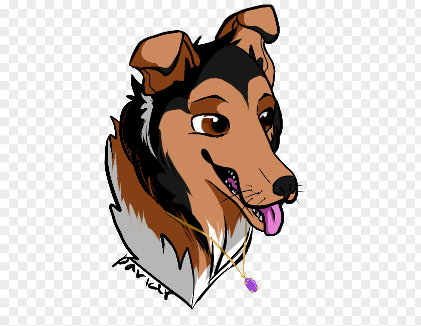 Rough Collie Dog Breed Snout Clip Art PNG