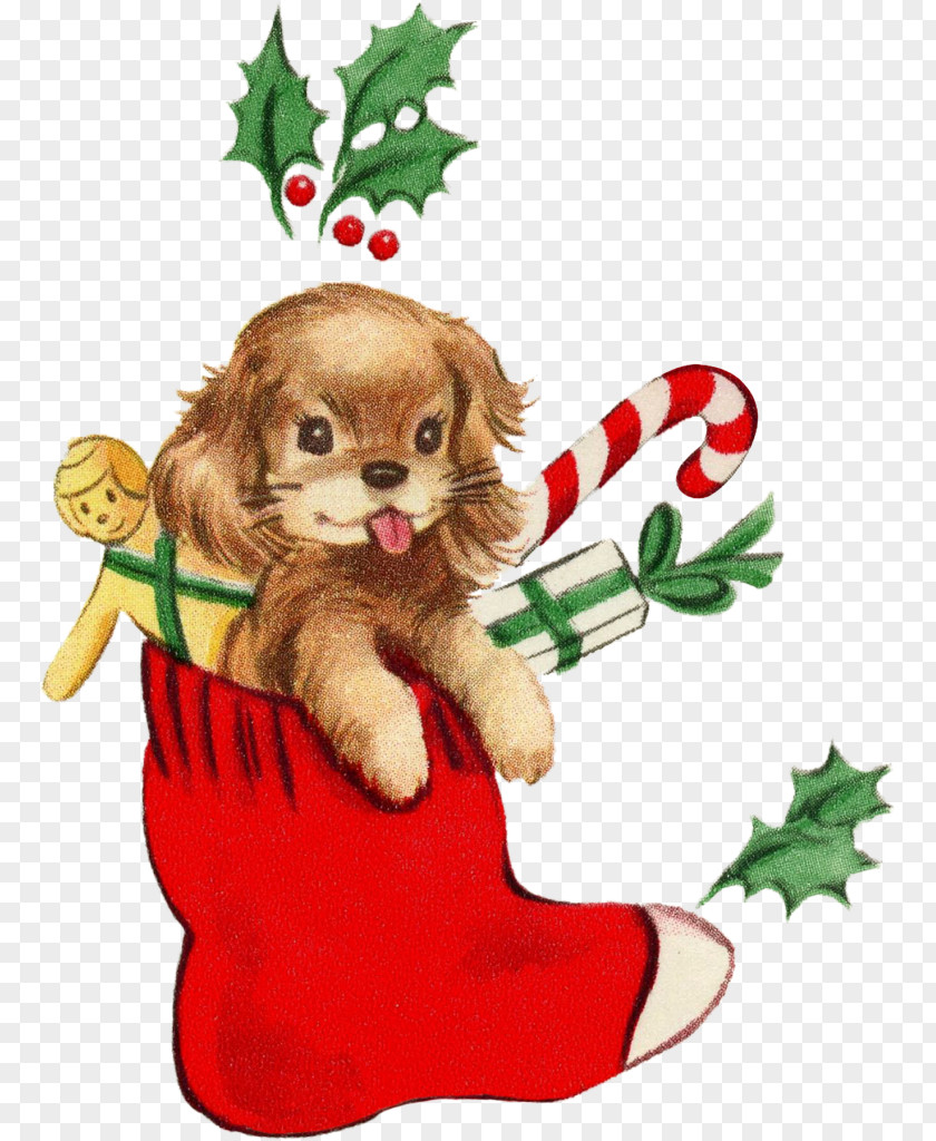 Free Christmas Dog Puppy Breed Companion Spaniel Samoyed PNG