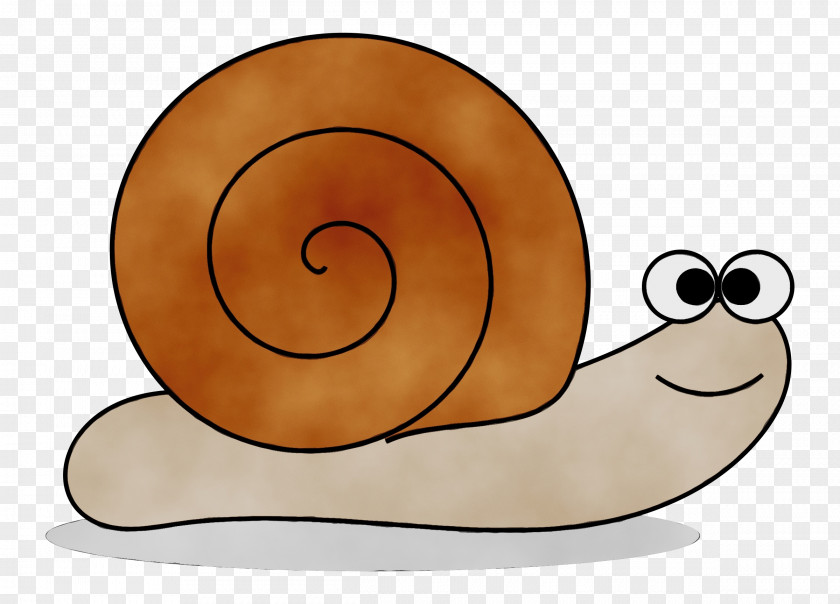 Invertebrate Slug Snail Cartoon PNG