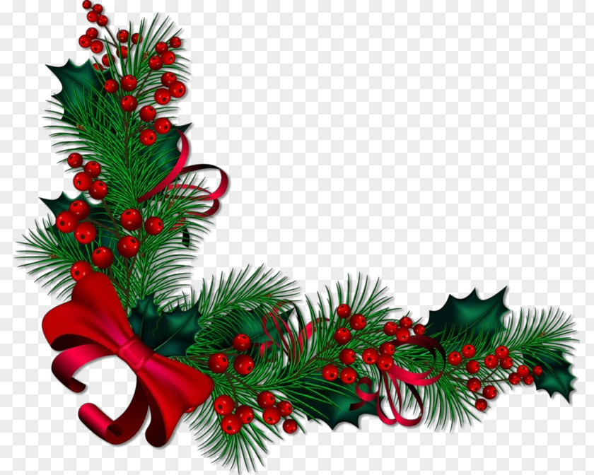 Pine Christmas Eve Decoration PNG