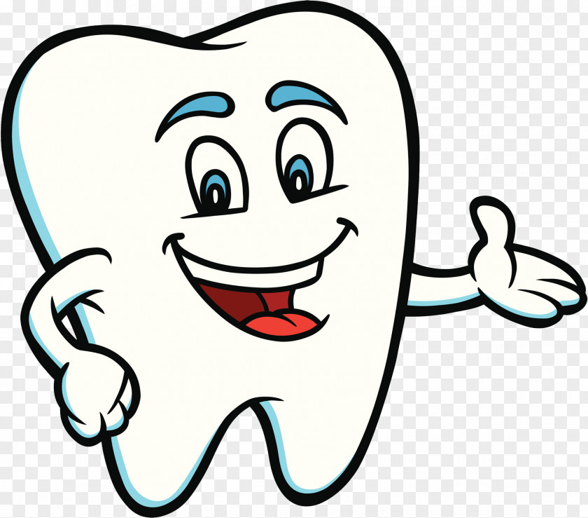 Steven P Stern DMD PA Human Tooth Dentistry PNG