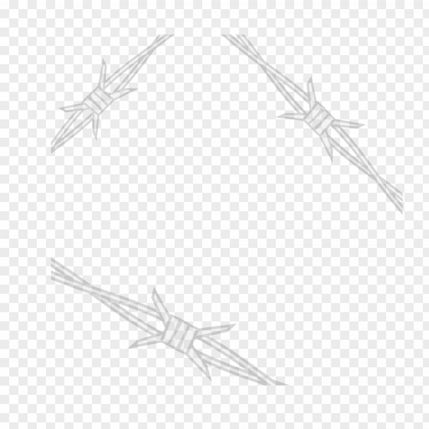 Black Simple Rope Starfish White Line Art Pattern PNG