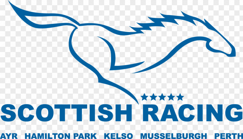 Edinburgh East And Musselburgh Perth Racecourse Organization Hamilton Park Микрозаём 2018 Grand National PNG