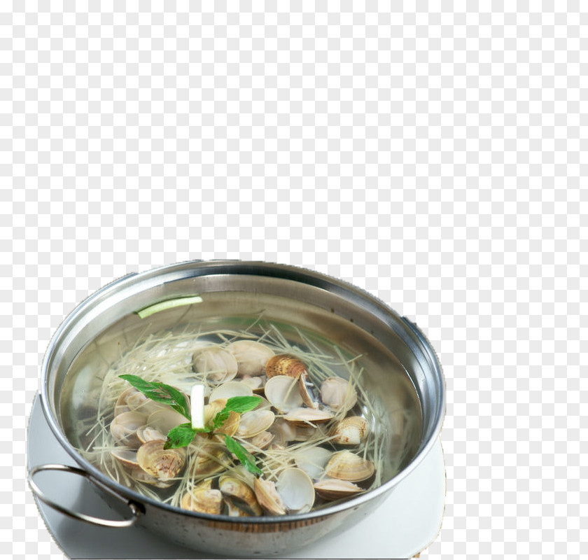 Ginger Clams Surface Clam Food Pixel PNG