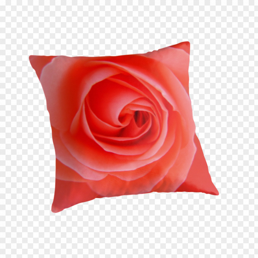Pillow Garden Roses Throw Pillows Cushion Cut Flowers PNG