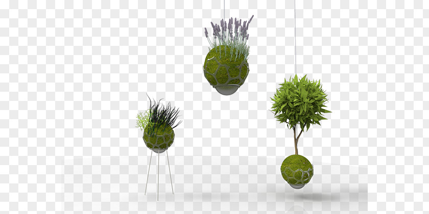 Starter FOOD Product Design Kokedama Behance Flowerpot Self-sustainability PNG