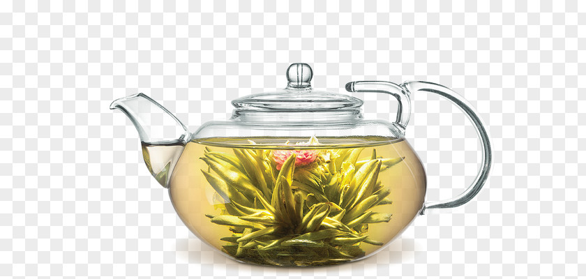 Tea Flowering Teapot Jasmine PNG