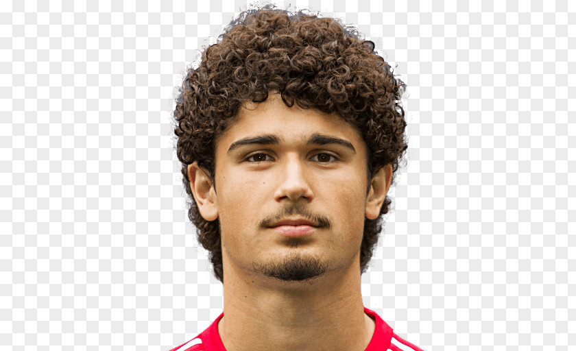 André Ramalho Silva Wiki Method Stub Afro Jheri Curl PNG