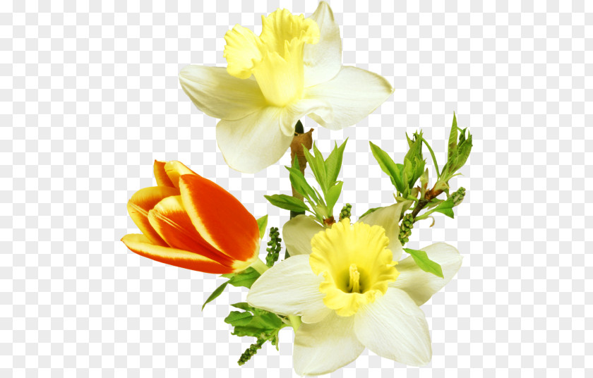 Floral Design Flower Arranging Petal PNG
