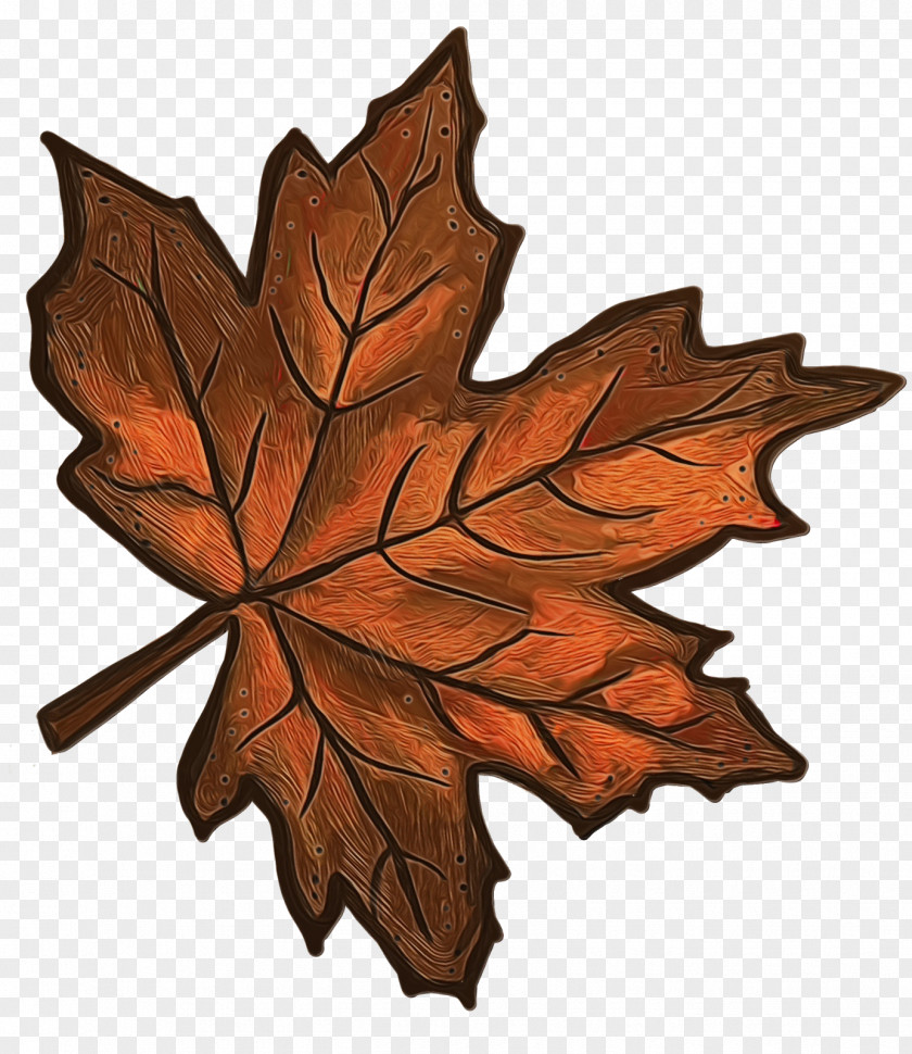 Flower Silver Maple PNG