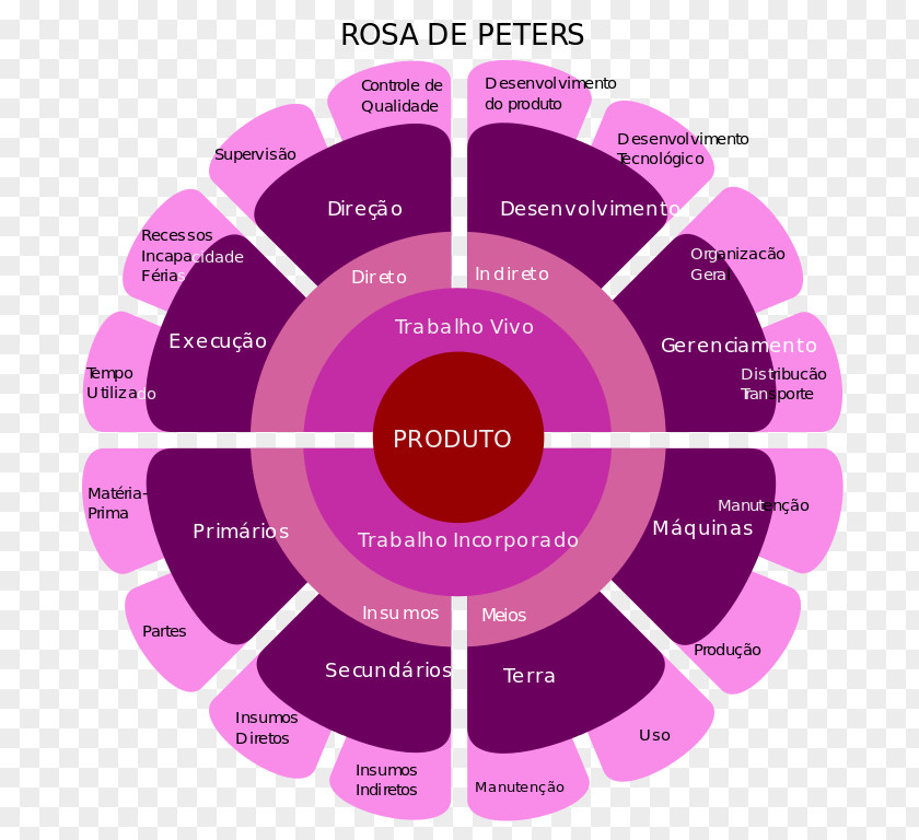 Peters Rose Vectors Socialism Of The 21st Century Wikipedia Product PNG