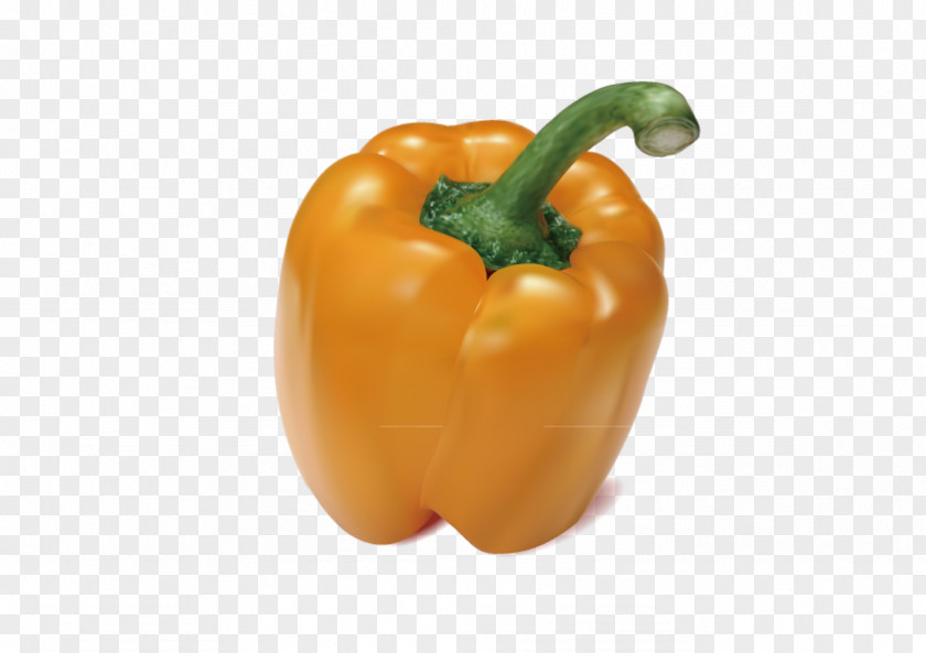 Vector Space Law Bell Pepper Habanero Chili Yellow PNG