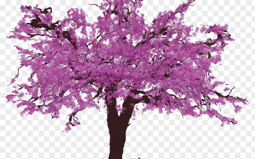 Cherry Tree Bloom Eastern Redbud Clip Art Western PNG