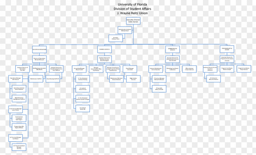 Organization Chart Area Rectangle PNG