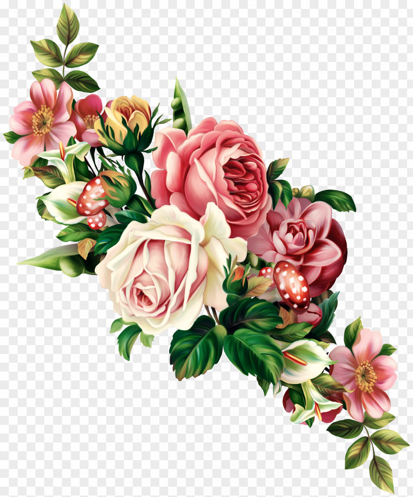 Rose Vintage Roses: Beautiful Varieties For Home And Garden Flower Clip Art PNG