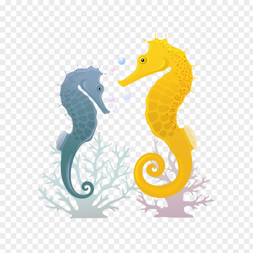 Seahorse Illustration PNG