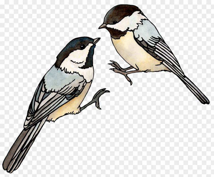Two Whispering Sparrows House Sparrow Bird Watercolor Painting Illustration PNG