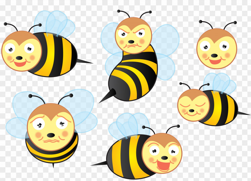Vector Bee Insect Apis Florea Clip Art PNG