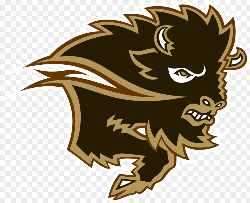 Basketball University Of Manitoba Bisons Football Women's Ice Hockey U Sports Canada West Universities Athletic Association PNG