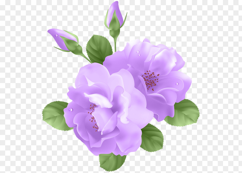 Purple Flowers Rose Flower Clip Art PNG