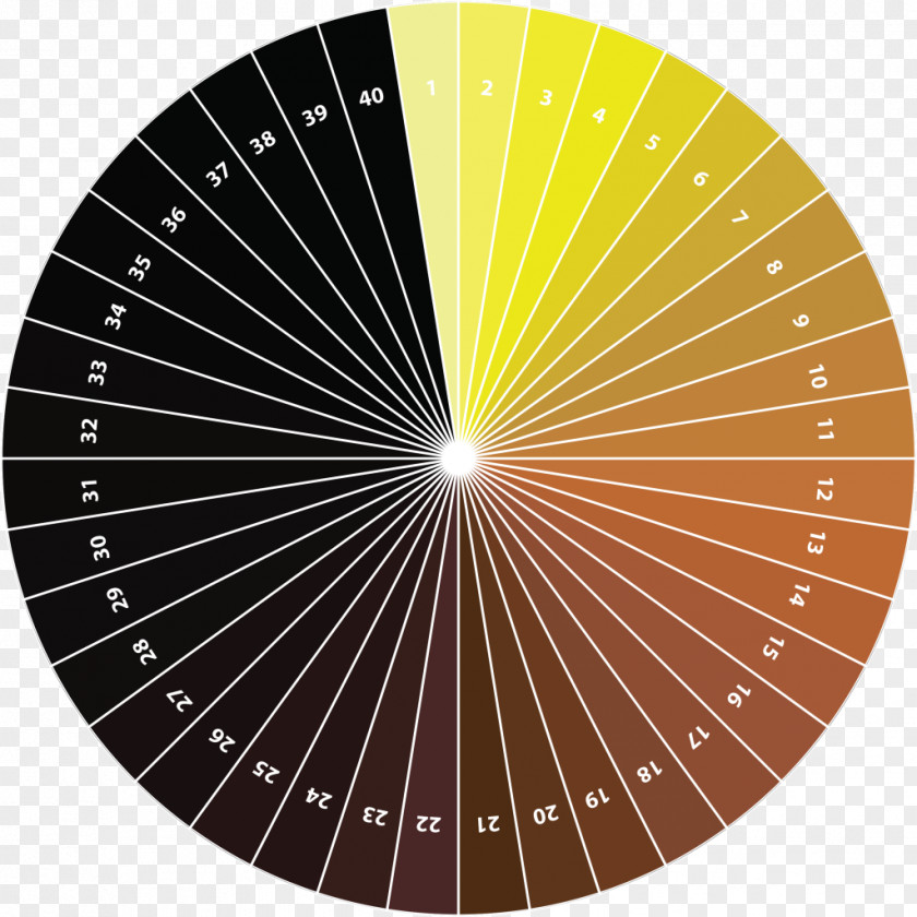 Standard Reference Method Color Wheel Pastel Tints And Shades PNG