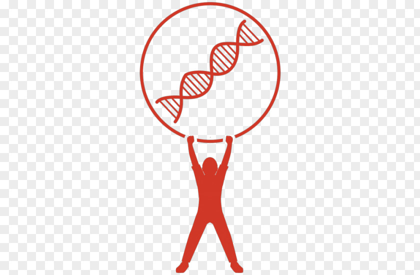 Strength Building The Double Helix: A Personal Account Of Discovery Structure DNA Vector Nucleic Acid Helix Clip Art PNG