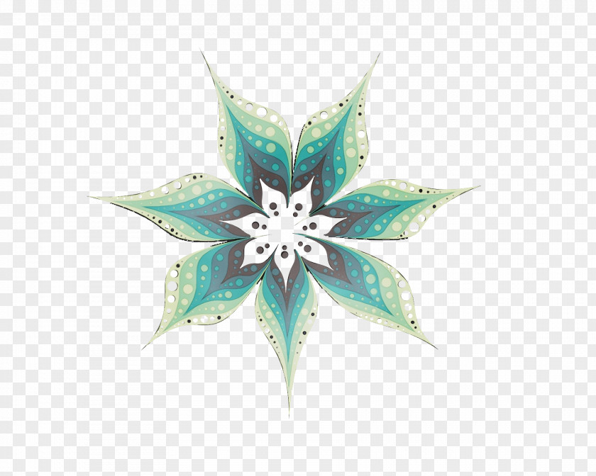 Leaf Symmetry Turquoise Biology Plants PNG